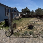 Over grown Yard clean up!