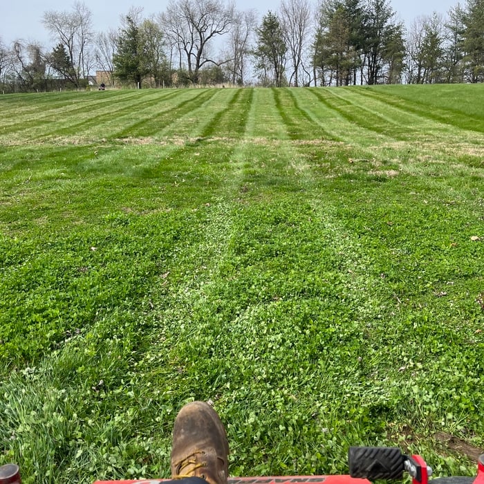 Mowing