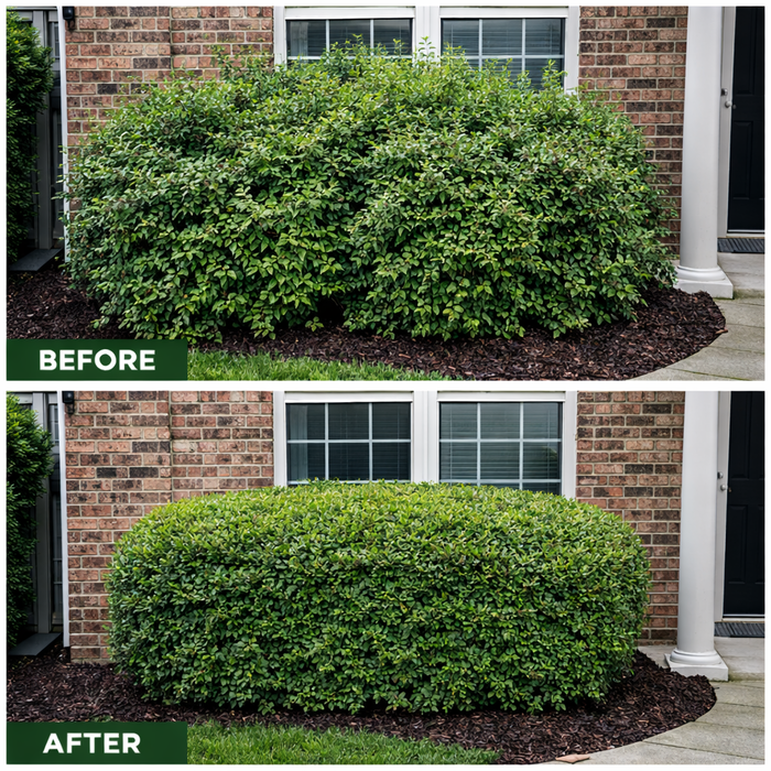 Front Bush Shaping