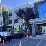 Tree Removal