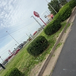 Shrub trimming