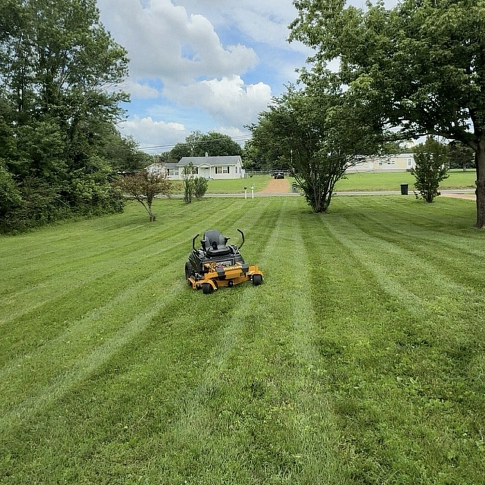 Lawn maintenance