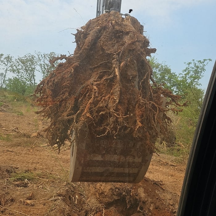 Complete land clearing