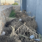 Weed removal