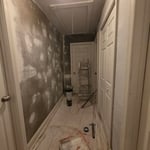 Paint and Repair