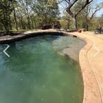 Algae Remediation