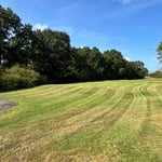 Commercial Property Cut