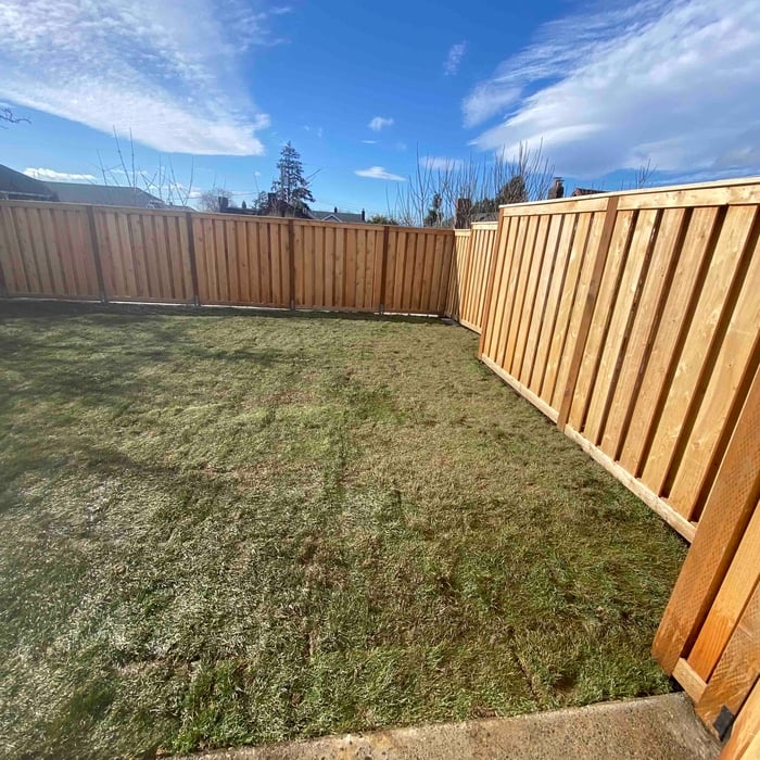 Fence
