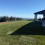 Sod is installed