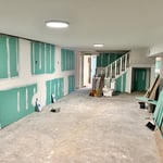 Bathroom Mold Remediation