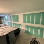 Bathroom Mold Remediation