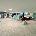 Bathroom Mold Remediation