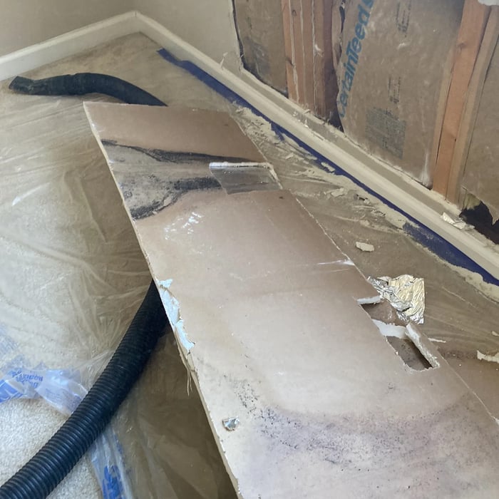Whole Home Mold & Siding