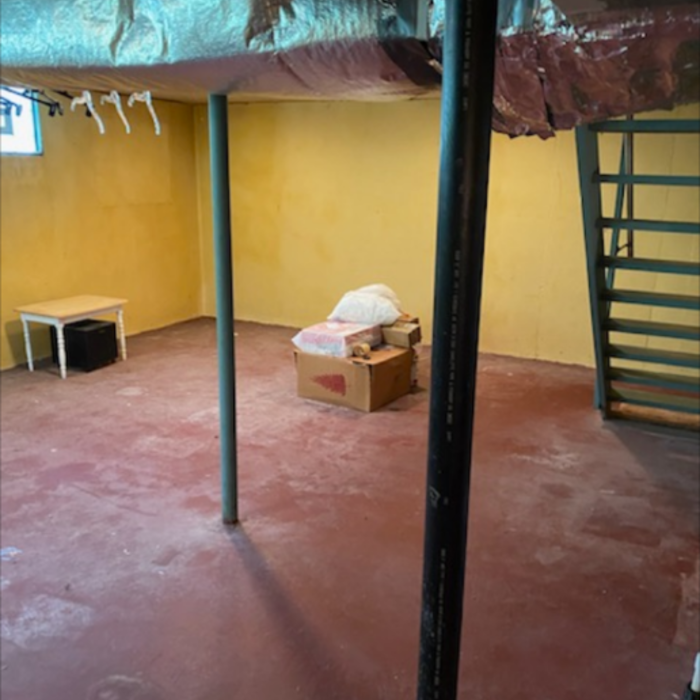 Basement/Garage cleanout