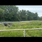 Custom Fence's and decks