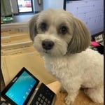 My jobs