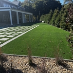 Patio and turf
