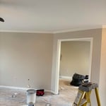 Full house repaint