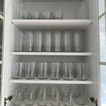 Organization
