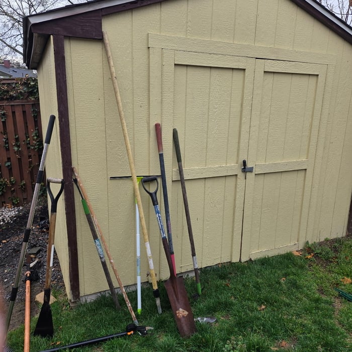 Shed Removal