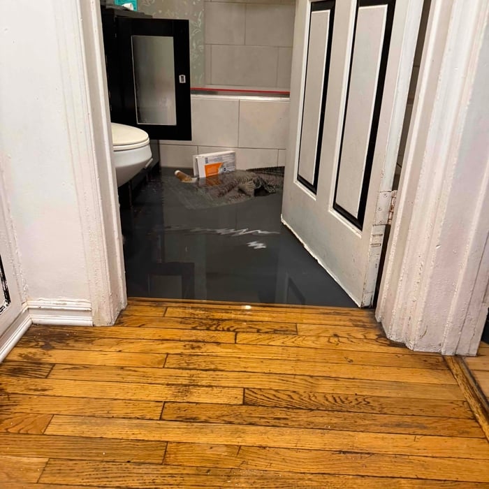 Water damage