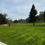 Lawn Care