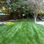 Lawn Care