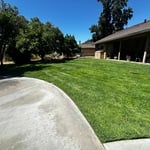 Lawn Care