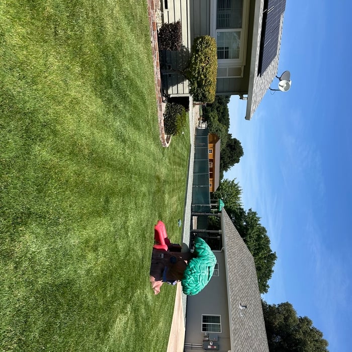 Lawn Care