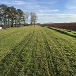 Premium lawn care