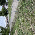 Brush removal