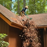 Roof soft wash & leaves