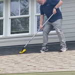 Roof Moss Removal