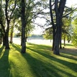 Lake lawn