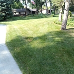 Lake lawn