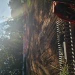 My jobs