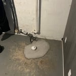 House Trap Removal