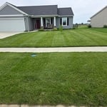Weekly mowing