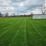 Weekly mowing