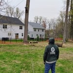 Tree Removal