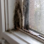 Mold Remediation