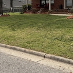Mowing/mulching