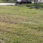 Mowing