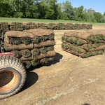 Sod Pallets/big Rolls