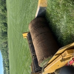 Sod Pallets/big Rolls