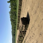 Sod Pallets/big Rolls