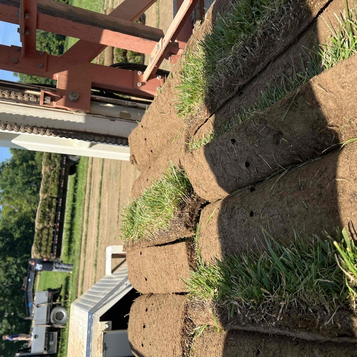 Sod Pallets/big Rolls