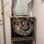 Photos