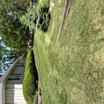 Lawn Care