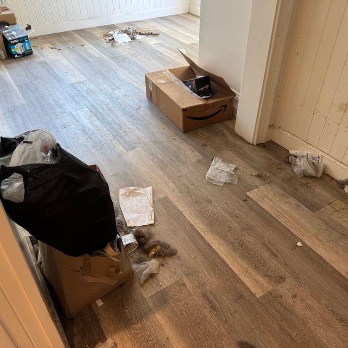 Deep Cleaning – Gilroy